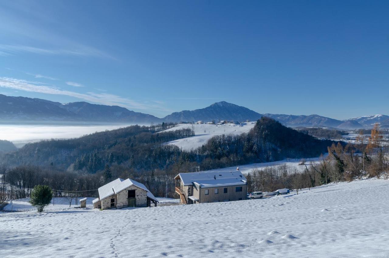 La Risorta Daire Cesiomaggiore Dış mekan fotoğraf